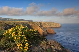 At 96 square miles, santa cruz island (chumash: Santa Cruz Island Channel Islands National Park U S National Park Service
