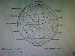 Viewing A Thread Mulders Chart