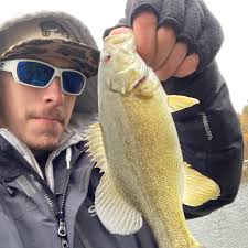 Diesel heater for ice shelter?