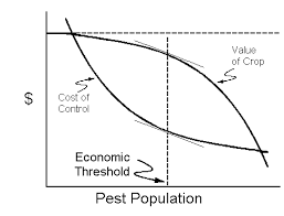 Crop pests, including insects, weeds, nematodes, and plant disease organisms cause millions of dollars in damage to colorado crops each year. Integrated Pest Management Economic Threshold