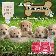 National Puppy Day Scentsy Scentsy Puppy Day National Puppy Day
