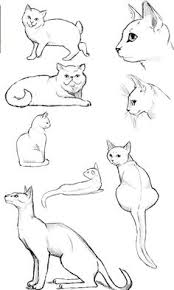 Cat Poses Drawing At Paintingvalley Com Explore Collection Of Cat Poses Drawing The photo dataset used is the ffhq set. cat poses drawing at paintingvalley com