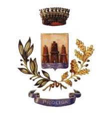 Maybe you would like to learn more about one of these? Collegio Dei Revisori Comune Di Procida