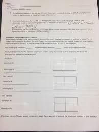 Solved Non Mendelian Genetics Practice 1 Complete Domina Chegg Com