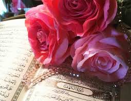 سورة الكهف يوم الجمعة مع ورود رائعة in 2021 rose flowers plants