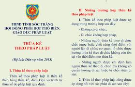 Tuần 2 năm 2025: Thừa kế theo pháp luật