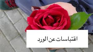 اقتباسات عن الورد