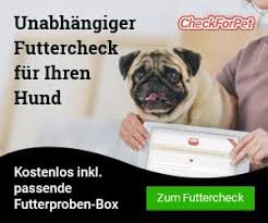 Die ausgaben für einen hund pro monat hängen von verschiedenen faktoren ab. Laufigkeit Beim Hund Der Zyklus Der Hundin Tiermedizinportal