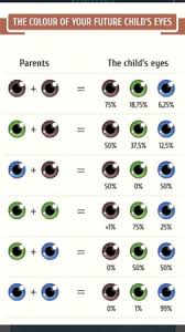 Eye Color Prediction Chart Interesting Page 5
