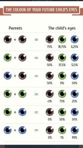 eye color prediction chart interesting page 5