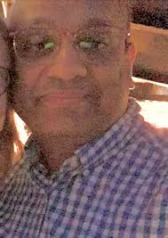 Aussie dogs playing and having fun