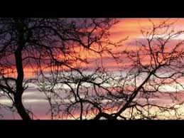 Indian Classical Instrumental Sitar Instrumental Sarangi Instrumental Classical Rendezvous Youtube