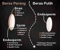 Yemek veritabanı ve kalori sayacı. 5 Fakta Penting Tentang Beras Perang
