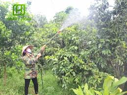 AGsouthstar 42WP