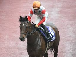 It is run over a distance of 1,200 metres (approximately 6 furlongs) at chukyo racecourse in late march. 6q1wzayf Dfchm