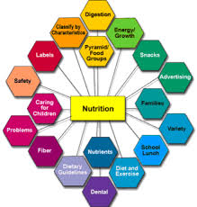 Micronutrients are required by plants in far smaller quantities than any macronutrient. Nutrition Physiopedia