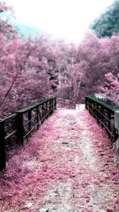 Free latest hd wallpapers for desktop pc, ipad, iphone, android phone Sakura Phone Wallpapers Top Free Sakura Phone Backgrounds Wallpaperaccess