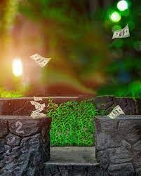 Hd Backgrounds Download For Cb Editing Picsart Cb Background Dslr Background Images Photo Background Images Hd Photoshop Digital Background Now, you will have the option to reduce or increase the transparency on the image.
