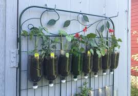 Some vertical gardens are designed to hang on a wall like living art, while others are freestanding gardens that feature rows of growing shelves stacked on top of each other. How To Build A Diy Vertical Garden Sarah Lawrence