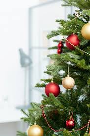 Every christmas decorations have something special about it. Affordable Office Christmas Decorations Ideas Our Home Made Easy