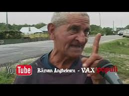 Iona zilelor noastre