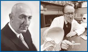 Mass Eye and Ear Otolaryngology–Head and Neck Surgery: Two Centuries of  Innovation