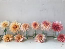 None of these tend to show up in the statistics, dole said. Seven Petal Flower Farm Specialty Cut Flowers