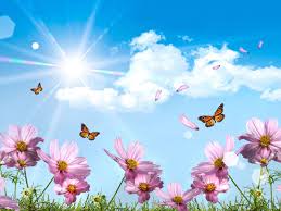 Butterflies And Blue Skies Pictures Summer Flowers Desktop Bloem Behang Achtergronden Desktop Achtergronden