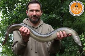 Although these fish are very snakelike in appearance, they are actually fish. Eel Archives Drennan International