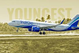 Image result for Yellow 2025 Fleet