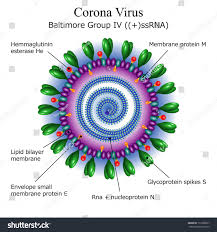 Pin On Viruses