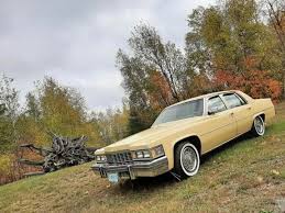 Image result for Dandelion Yellow 1977 Holden Fleet