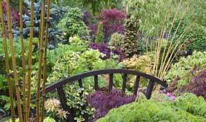 Plants that love water will do fine, just keep them moist. Grow Bog Plants And Moisture Lovers To Stop Your Garden Flooding Express Co Uk
