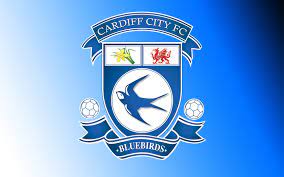 The club owner controversially changed cardiff's kit colour to red in 2012, as well as replacing their traditional badge featuring a bluebird to a welsh dragon. Pin On Random Stuff 1