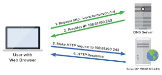 Domain Name System