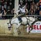 Rough Stock Rodeo