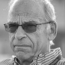 Daily News Sports (@MetroWestSports)