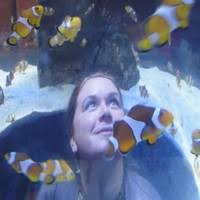 10+ "Penelope Carr" profiles