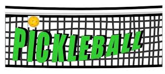 Image result for pickleball pictures