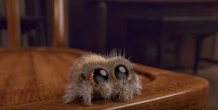 Jumping spider stock photography by jamesac 3 / 32 thailands traditional loy krathong festival stock photo by dashapetrenko 1 / 0 cute tarantula spider cartoon pictures by tigatelu 15 / 4,224 butterfly with white wings stock. The Real Lucas The Spider This Week A Video Called Lucas The By Melissa Mcewen Medium