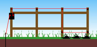 Are invisible, electric fences right for cats? Why Is My Electric Fence Killing Birds Home Improvement Stack Exchange