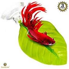 Top 10 Ideas For Betta Fish Toys Don T Have A Bored Betta Betta Fish Toys Betta Fish Fish Aquarium Decorations
