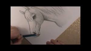 Pdf the yoga of drawing: How To Draw A Horse Head Youtube