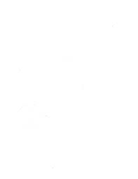 IN THE UNITED STATES BANKRUPTCY COURT FOR THE DISTRICT OF DELAWARE In re:  TMP DIREC