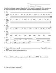 Transcription takes place in the nucleus. Dna Translation Lesson Plans Worksheets Lesson Planet