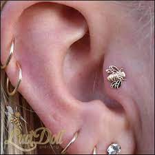 I M Still Buzzing With Excitement Over This Bee Utiful Healed Tragus Install From The Other Day With A Solid Go Ear Jewelry Tragus Jewelry Pretty Ear Piercings