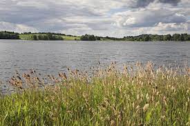 Het land grenst aan rusland in het noordoosten, aan oekraïne in het zuiden, aan polen in het westen en aan litouwen en letland in het noordwesten. Serdovomeer De Zomer Landschap Wit Rusland Stock Foto Afbeelding Bestaande Uit Gebied Gras 59571862