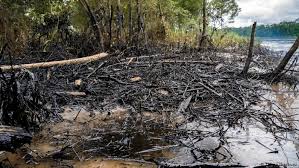 Ecuador: indígenas temen hambruna por derrames de petróleo en la Amazonía  durante la pandemia | Las noticias y análisis más importantes en América  Latina | DW | 30.04.2020