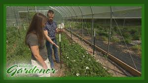 Our staff will help you choose the perfect flowers for your occasion! Wholesale Flowers Nashville Tn Open To Public 08 2021