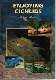 Enjoying Cichlids